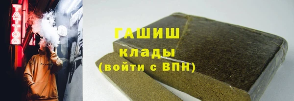 стафф Гусев