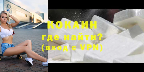 стафф Гусев