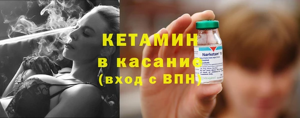 стафф Гусев