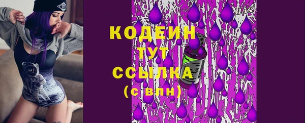 стафф Гусев