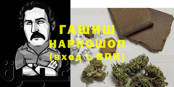 стафф Гусев
