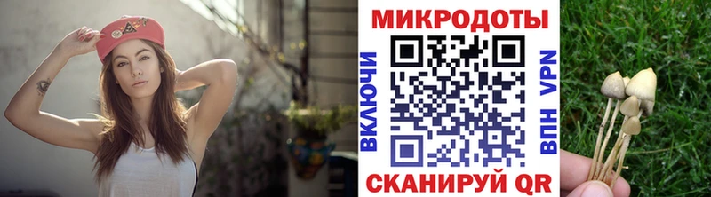 Купить где  Рыбное  Галлюциногенные грибы мицелий 